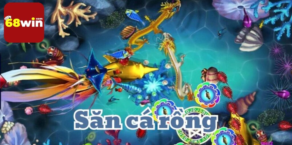 Lý do nên săn cá rồng trúng lớn